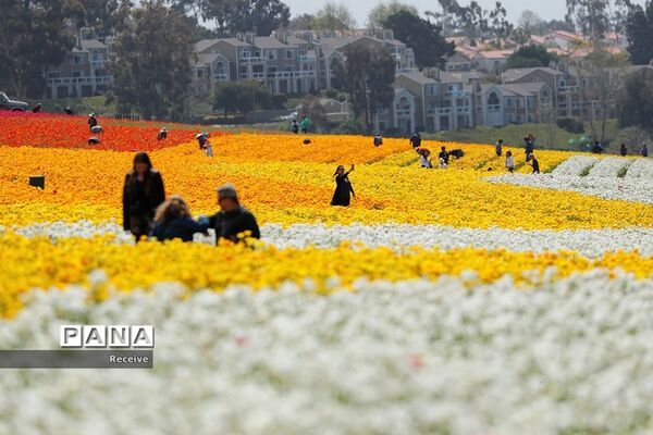 شروع فصل بهار در نیم کره شمالی