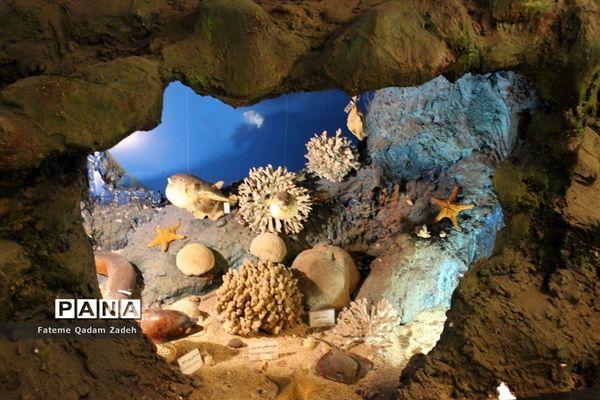 موزه حیات وحش پارک پردیسان تهران