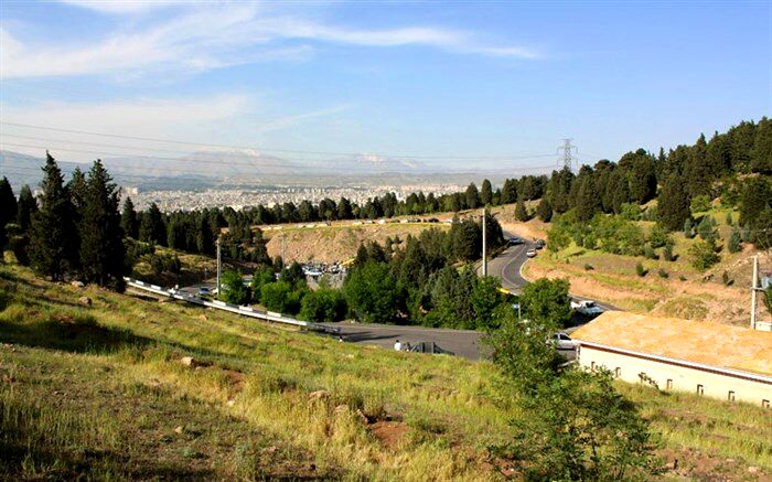 خرازیان: احتمالاً تلفات اخیر حیات وحش در پارک ملی بر اثر سرما بوده است