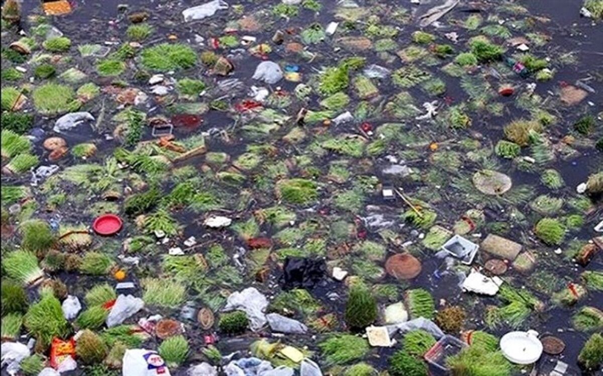 سبزه ها و ماهی های قرمز را در رودخانه ها رها نکنید