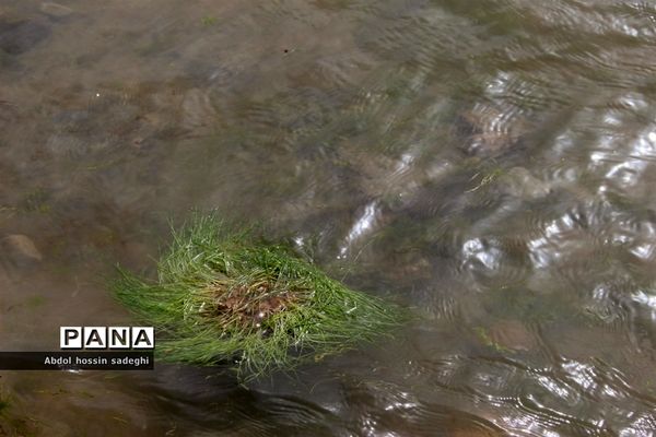 سیزده بدر در بوشهر