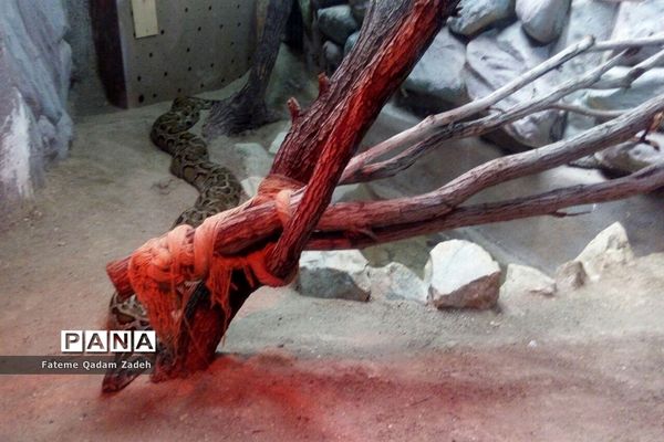 باغ وحش ارم تهران