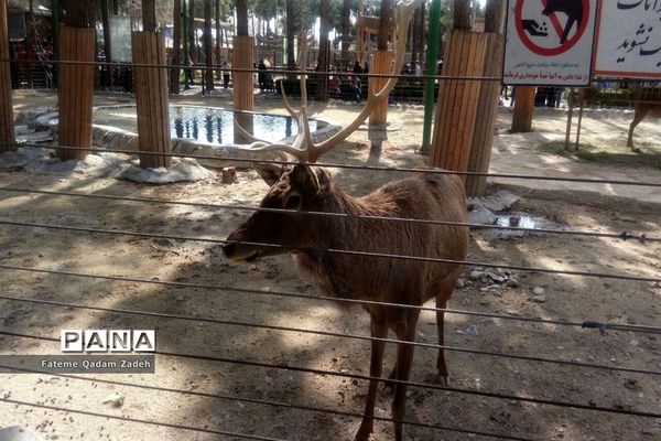 باغ وحش ارم تهران