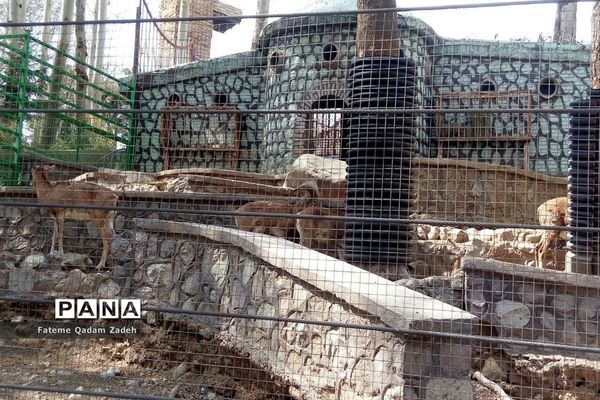 باغ وحش ارم تهران