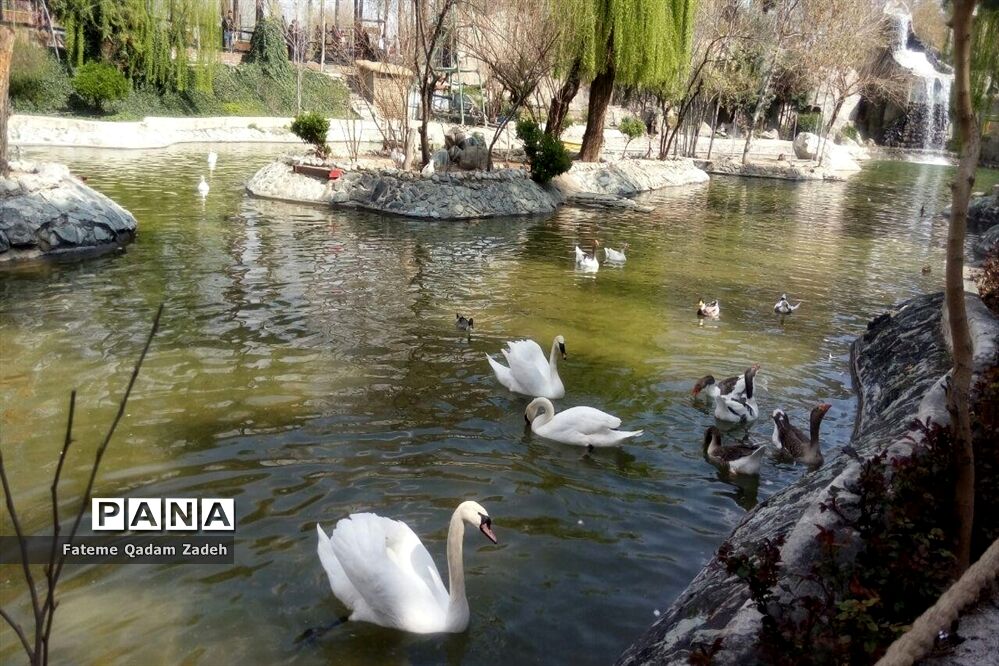 باغ وحش ارم تهران