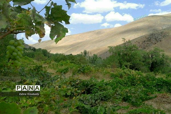 طبیعت زیبای روستای عین‌آباد دراستان همدان