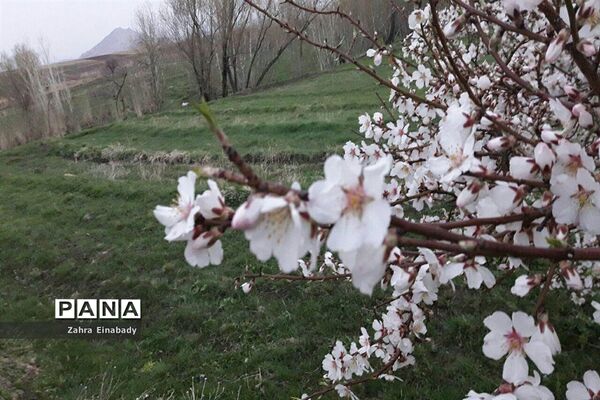 طبیعت زیبای روستای عین‌آباد دراستان همدان