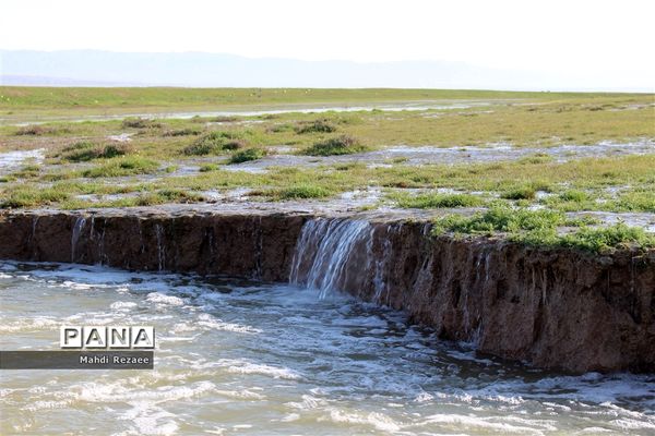 به یمن بارش‌های اخیر تالاب صالحیه نظر آباد جانی دوباره گرفت