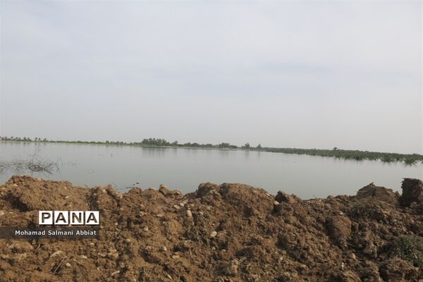 تلاش اهالی روستای ملیحان اهواز برای ترمیم سیل بند