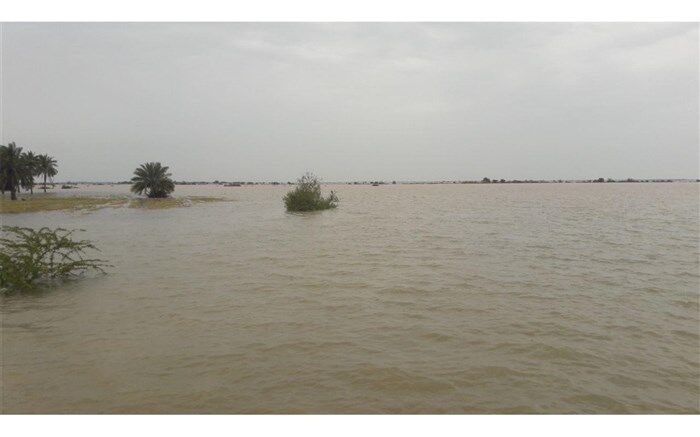 شیبان در خطر فرو رفتن در آب