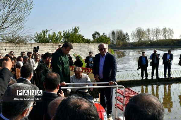 آیین اولین نشاء مکانیزه برنج کشور در روستای باقرتنگه بابلسر
