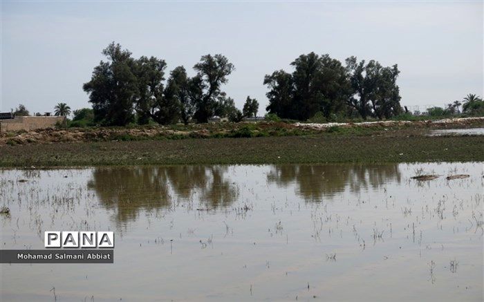 برگزاری نشست تخصصی «رسانه و بحران» در دانشگاه صداوسیما
