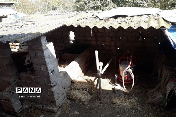 روستای تالارپشت سیمرغ؛ یک ماه بعد از سیل