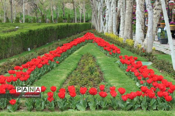 باغ لاله های کرج