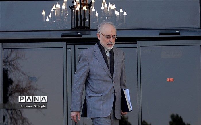 صالحی: دشمن در پی تحریک ایران برای انجام واکنش‌های عجولانه است