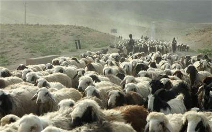 آغاز کوچ بهاره عشایر در استان فارس