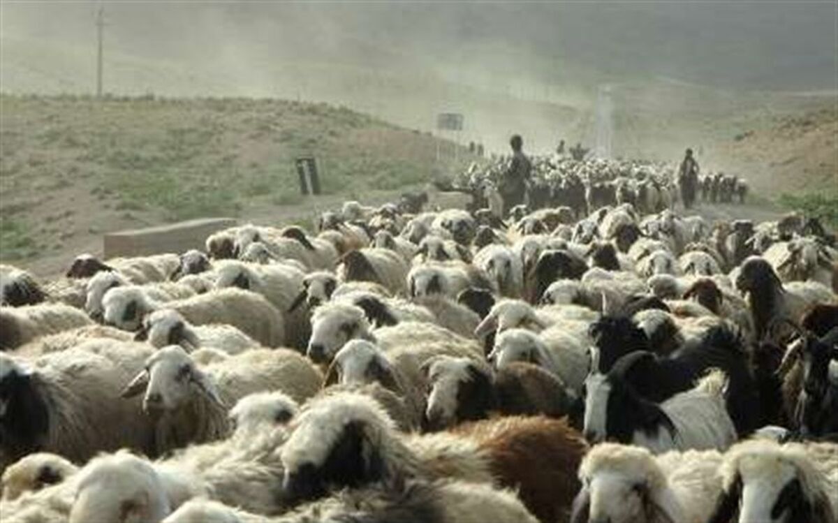 آغاز کوچ بهاره عشایر در استان فارس