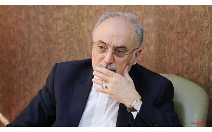 علی اکبر صالحی: گزارش تعاملات در عرصه علوم و فنون هسته ای به رییس جمهوری ارائه شد