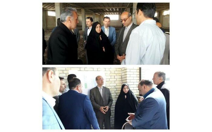 استان قزوین قطب تولید ماهیان زینتی کشور می شود