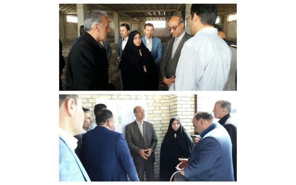 استان قزوین قطب تولید ماهیان زینتی کشور می شود