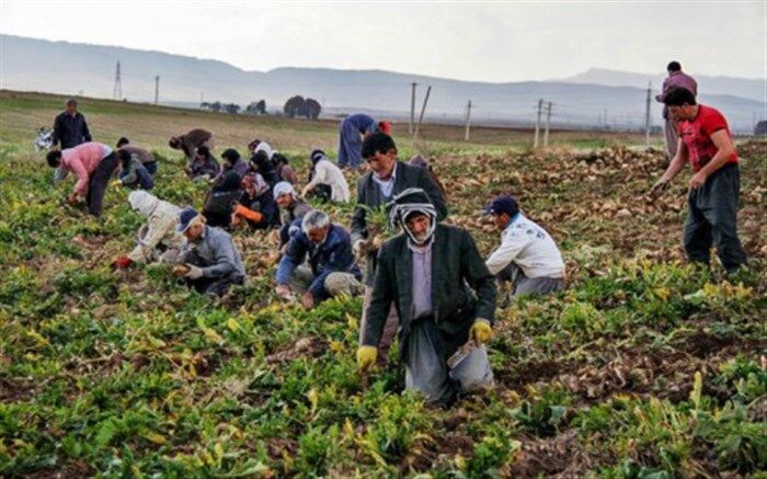 مدیر صندوق بیمه اجتماعی سمنان:7 هزار سرپرست خانوار بیمه نیستند