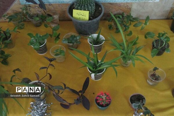 نمایشگاه هفته مشاغل در آموزشگاه طلوع فجر ملارد