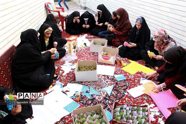 جشن و سرور مردم شیراز در شب میلاد حضرت مهدی (عج)