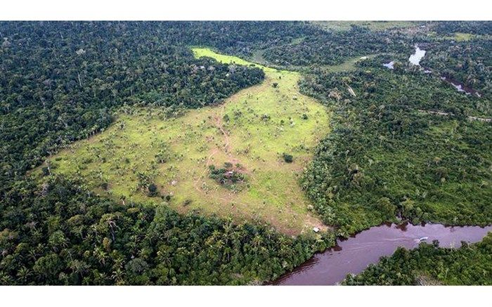 12 میلیون‌ هکتار جنگل استوایی نابود شد