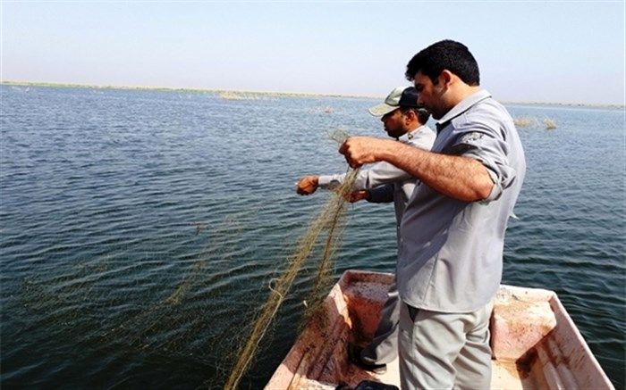 جمع آوری   300 متر تور صیادی غیرقانونی در میاندوآب