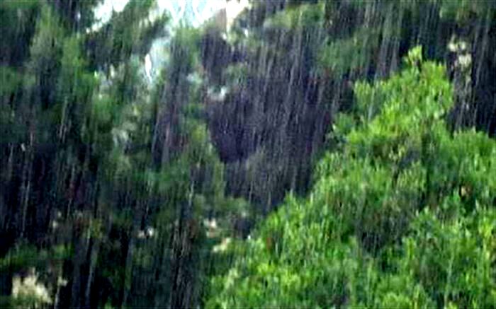 میزان بارندگی در آذربایجان غربی ۴۹.۹ درصد رشد یافت
