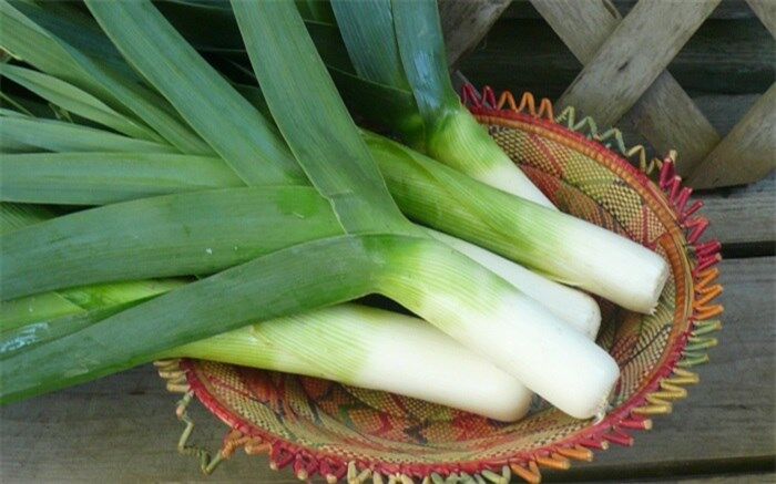 همه خواص تره‌فرنگی