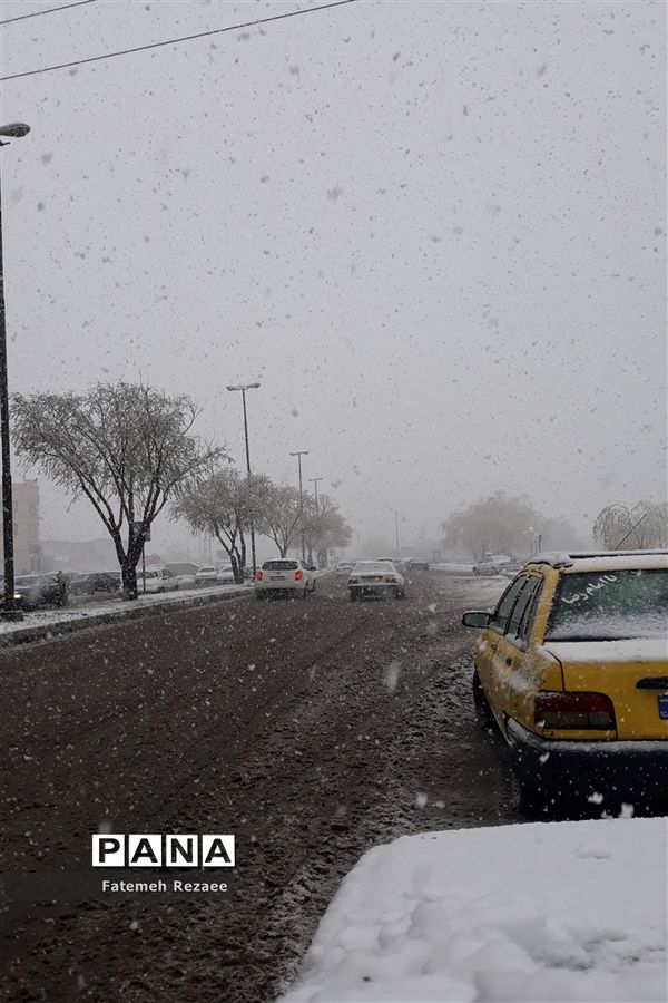 بارش برف بهاری