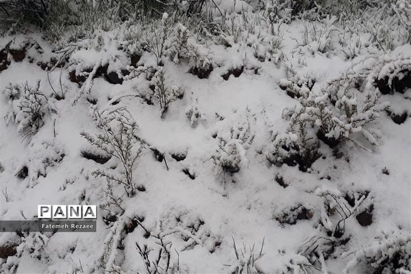 بارش برف بهاری