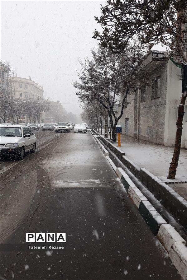 بارش برف بهاری