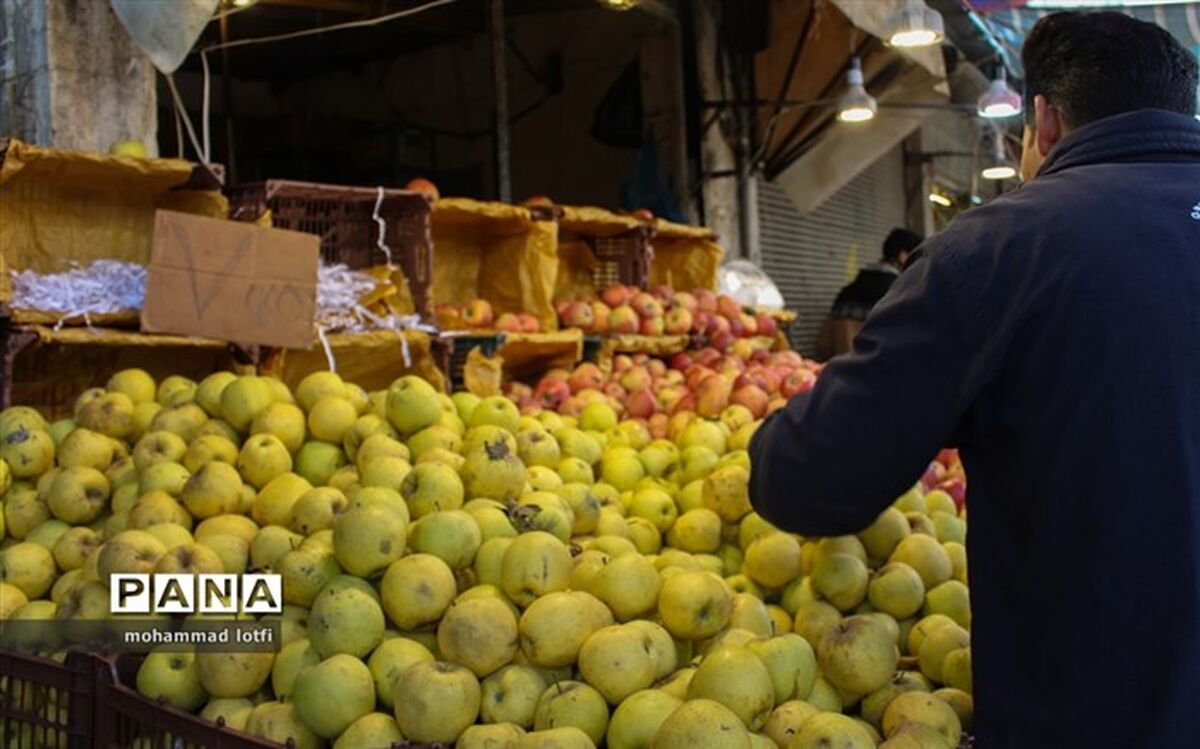 صادرات سیب و پرتقال از سر گرفته شد