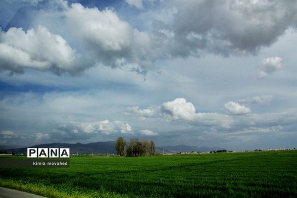 قلم سفید آسمان