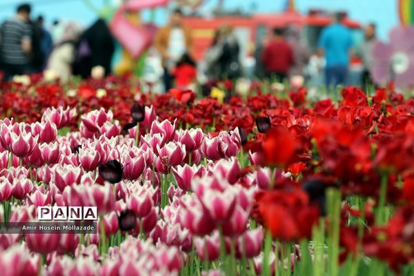 نهمین جشنواره گل‌ها در ارومیه