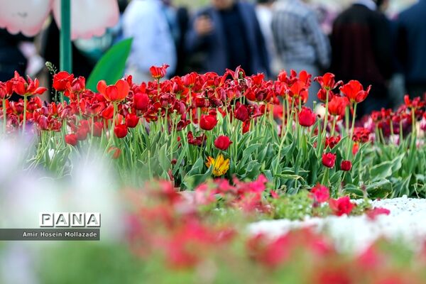 نهمین جشنواره گل‌ها در ارومیه