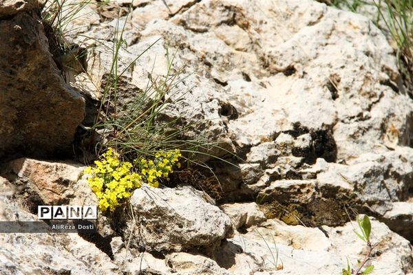 طبیعت زیبای تنگه سرخ سپیدان و یاسوج