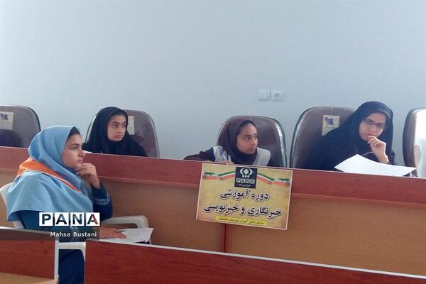 دوره آموزش خبرنگاری در دشتستان