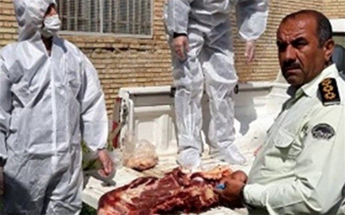 معدو‌م سازی 315 کیلوگرم گوشت‌های قرمز غیر بهداشتی در لردگان