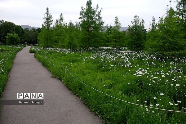 باغ گیاه شناسی ملی ایران