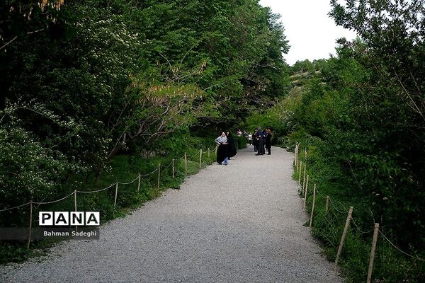 باغ گیاه شناسی ملی ایران