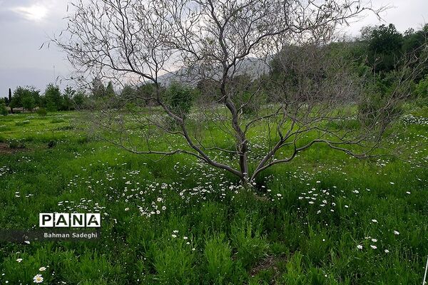 باغ گیاه شناسی ملی ایران