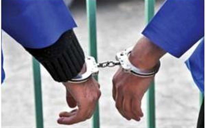 سارق حرفه ای  به 20 فقره سرقت سیم و کابل برق اعتراف کرد