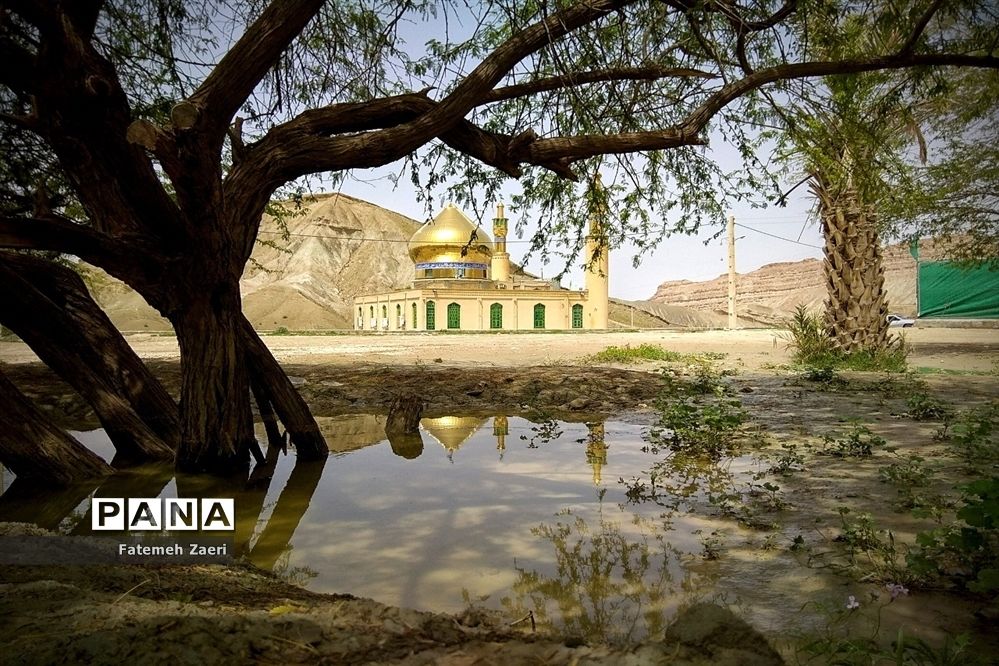 طبیعت امام زاده میر ابول(ع)  لارستان،  در انحصار زباله ها