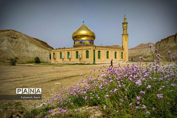 طبیعت امام زاده میر ابول(ع)  لارستان،  در انحصار زباله ها