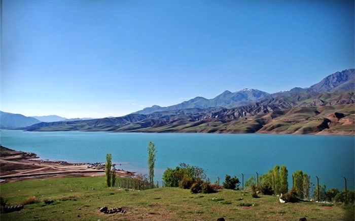 سد طالقان سر ریز شد + فیلم