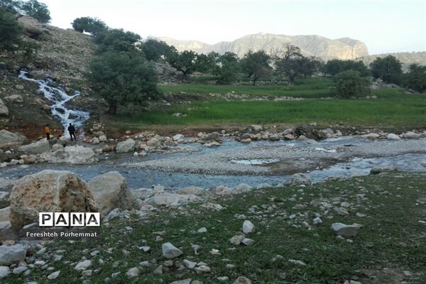 احیای دوباره چهل چشمه در فارس