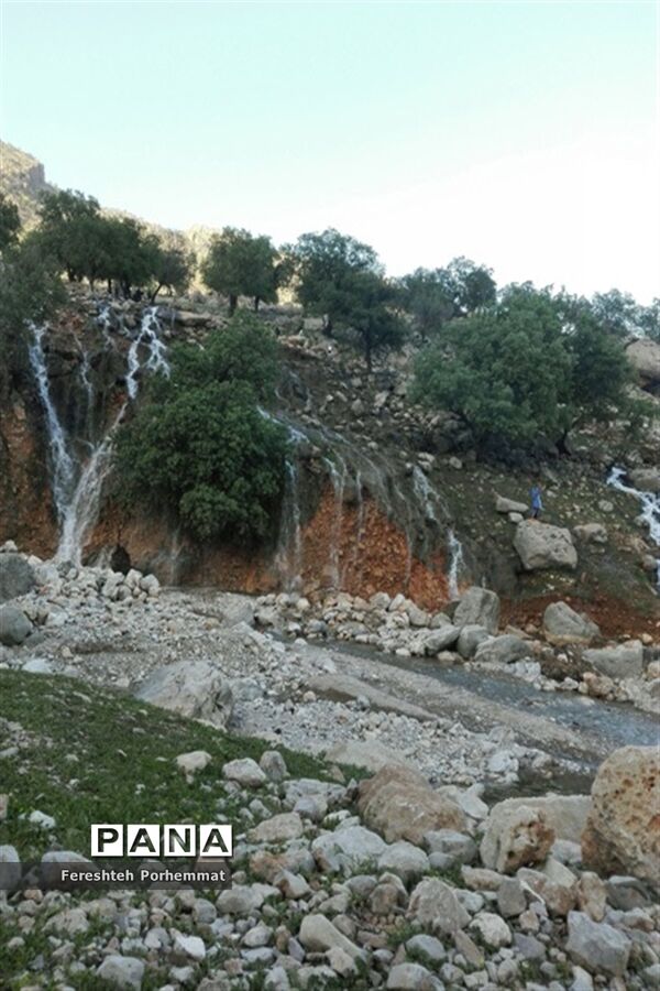 احیای دوباره چهل چشمه در فارس